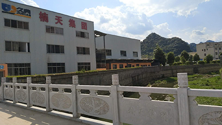 楠天集團