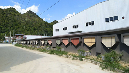 乳膠漆樣板展示
